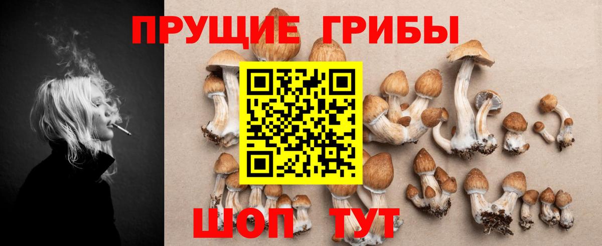 Псилоцибиновые грибы мухоморы  как найти   Усть-Лабинск  Вход с VPN 