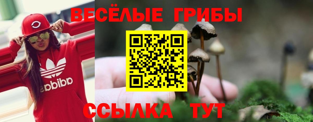 Псилоцибиновые грибы мицелий Усть-Лабинск
